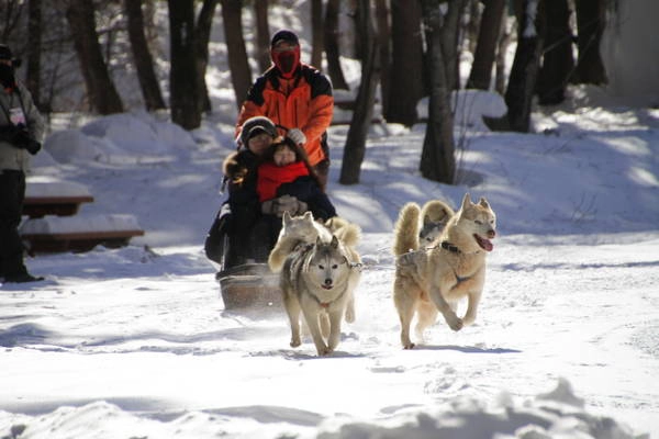 Ảnh: abc-korea.com Ảnh: abc-korea.com