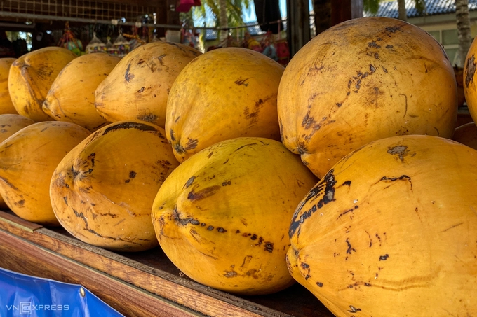 Thưởng thức đặc sản dừa  Loại thực phẩm nổi tiếng nhất trên đảo Hải Nam là dừa và các loại chế phẩm từ loại quả này. Du khách có thể tìm thấy dừa trên khắp hòn đảo, từ các điểm bán hàng trong khu du lịch tới xe đẩy, cửa tiệm trong phố. Thứ thường được mua về làm quà là kẹo dừa, chocolate dừa và sữa dừa. Các món ăn mặn tại đây chủ yếu là hải sản, đặc trưng nhiều dầu, mỡ.