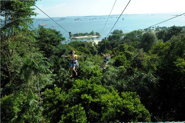 Ảnh: MegaZip Adventure Park