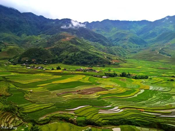 Ruộng bậc thang dưới chân đèo Khau Phạ. Ảnh: Tiểu Duy Ruộng bậc thang dưới chân đèo Khau Phạ. Ảnh: Tiểu Duy