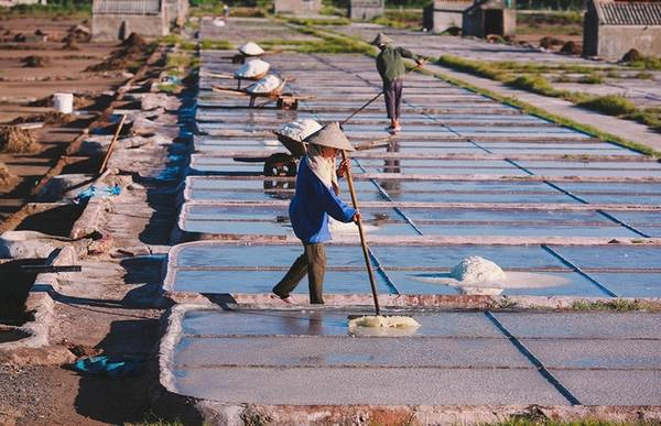 Ảnh: Trần Tiến Thành Ảnh: Trần Tiến Thành
