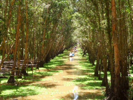 Hai bên đường, những cây thốt nốt xõa bóng che đầu Hai bên đường, những cây thốt nốt xõa bóng che đầu