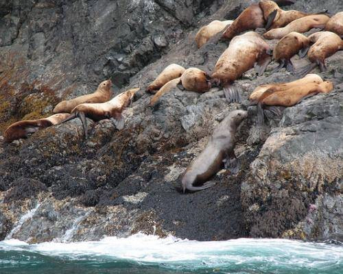 Du lịch Mỹ - Alaska - iVIVU.com