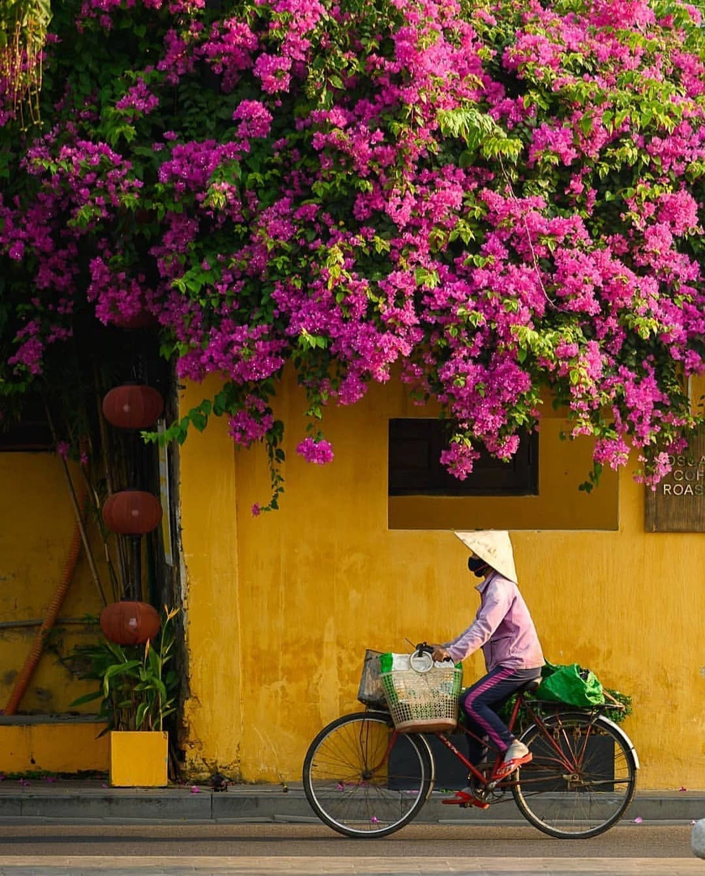 Hội An (Quảng Nam) vốn là điểm đến được lòng nhiều du khách quốc tế. Một trong những trải nghiệm tại Hội An chưa nhiều người Việt để ý nhưng lại hấp dẫn khách Tây là may đồ tại tiệm may truyền thống. Blogger của trang Seenicwander gợi ý du khách nên một lần mặc đồ may ở phố cổ. "Các hàng vải, tiệm may truyền thống là nét đep văn hóa đặc trưng lại Hội An. Bạn có thể tự chọn một khúc vải, đặt tiệm may theo số đo yêu cầu và nhận sản phẩm trong ngày", blogger trang Seenicwander viết. Ảnh: sheisnotlost, nomadvietnam.