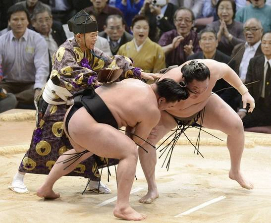 5. Xem đấu võ sumo trực tiếp: Sáu giải đấu sumo lớn được tổ chức hàng năm ở Nhật Bản, rải rác dọc Tokyo, Osaka, Nagoya và Fukuoka với vé được phân phối qua mạng. Những vận động viên sumo đầu tiên được cho là các cựu võ sĩ samurai. Ảnh: Japantimes. 5. Xem đấu võ sumo trực tiếp: Sáu giải đấu sumo lớn được tổ chức hàng năm ở Nhật Bản, rải rác dọc Tokyo, Osaka, Nagoya và Fukuoka với vé được phân phối qua mạng. Những vận động viên sumo đầu tiên được cho là các cựu võ sĩ samurai. Ảnh: Japantimes.