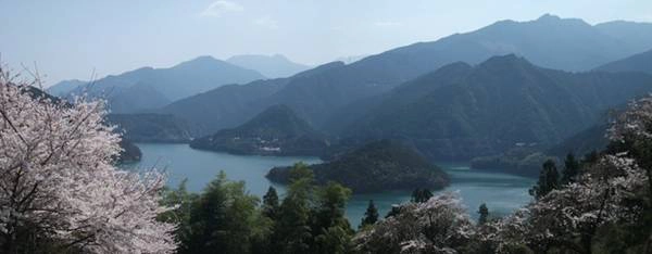 7. Đi theo đường hành hương Shikoku: Trong hơn 1.200 năm qua, người Nhật đã khoác áo trắng và hành hương trên tuyến đường dài 1.350 km, qua 88 đền miếu thờ Phật. Đạo Phật là một trong những tôn giáo quan trọng của Nhật Bản, bắt đầu phổ biến từ thế kỷ 6. Mục tiêu của đường hành hương Shikoku là để tìm được sự thức tỉnh. Người Nhật tới đây vì nhiều lý do, như cầu cho người ốm nhanh khỏi và người thân đã mất được siêu thoát. Không như tuyến đường Kumano, đường Shikoku không cấm phụ nữ. Ảnh: Bondi-acupuncture. 7. Đi theo đường hành hương Shikoku: Trong hơn 1.200 năm qua, người Nhật đã khoác áo trắng và hành hương trên tuyến đường dài 1.350 km, qua 88 đền miếu thờ Phật. Đạo Phật là một trong những tôn giáo quan trọng của Nhật Bản, bắt đầu phổ biến từ thế kỷ 6. Mục tiêu của đường hành hương Shikoku là để tìm được sự thức tỉnh. Người Nhật tới đây vì nhiều lý do, như cầu cho người ốm nhanh khỏi và người thân đã mất được siêu thoát. Không như tuyến đường Kumano, đường Shikoku không cấm phụ nữ. Ảnh: Bondi-acupuncture.