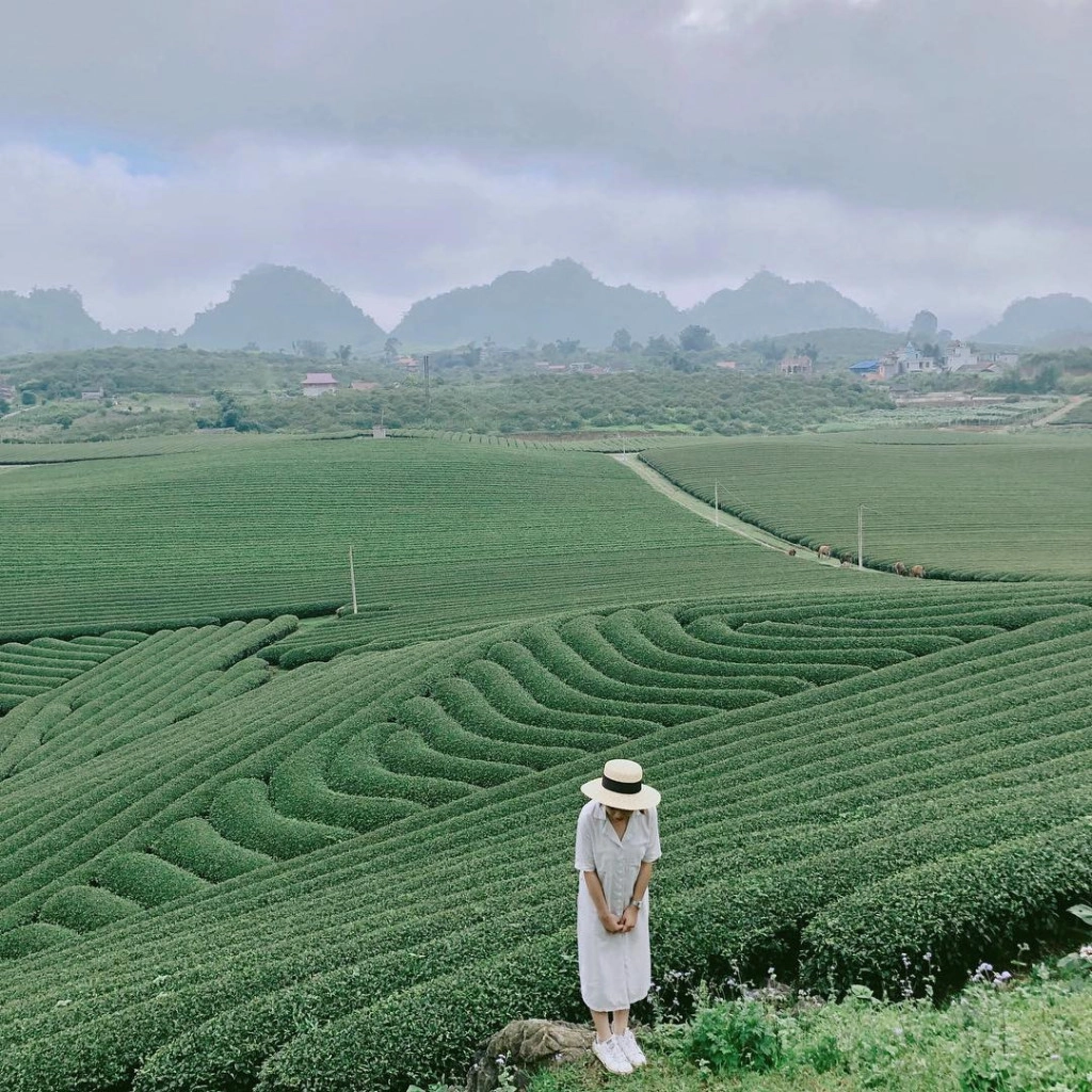 Đồi chè Mộc Châu (Sơn La): Mộc Châu nổi tiếng với nhiều đồi chè xanh ngút ngàn. Trong đó, đồi chè trái tim là địa điểm được giới trẻ check-in nhiều nhất. Mùa chè ở Mộc Châu thường bắt đầu từ tháng 2 đến tháng 11. Đến đây, du khách sẽ được đắm mình trong sắc xanh của những đồi chè uốn lượn, tận hưởng không gian trong lành với mùi chè thơm mát. Đặc biệt, bạn sẽ có cơ hội diện lên mình những bộ đồ tuyệt đẹp y hệt các cô gái dân tộc vùng bản. Ảnh: @kieutom, minpiupiu.