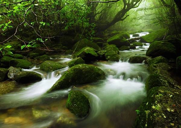 Yakushima Hòn đảo Yakushima thu hút không chỉ những người yêu thích leo núi mà tất cả du khách với các bãi biển đẹp, suối nước nóng tự nhiên và cảnh rừng hoang sơ. Yakushima có 6 đỉnh núi cao trên 1.800 m, trong đó đỉnh Miyanoura-dake cao 1.935 m là thử thách cho bất cứ nhà leo núi chuyên nghiệp nào. Trước khi chinh phục núi ở đây, bạn phải điền vào mẫu đơn về cung đường sẽ đi để đảm bảo an toàn nếu có vấn đề xảy ra. Ảnh: 37framesphotographyblog
