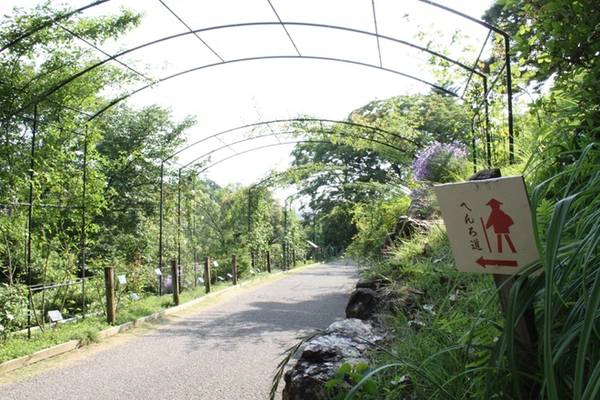 Shikoku Henro Đây là hòn đảo nhỏ nhất trong số các đảo chính tại Nhật Bản và cũng là địa điểm ưa thích của những người sùng đạo nước này. Nếu muốn hoàn thành trọn vẹn tuyến đường, bạn sẽ phải đi hơn 1.000 km và qua 88 ngôi đền. Thông thường, những người hành hương mất khoảng 1-2 tháng để hoàn thành cung đường. Muốn tiết kiệm thời gian, có những người đã bỏ qua một số ngôi đền và sử dụng phương tiện công cộng. Ảnh: shikoku88temples