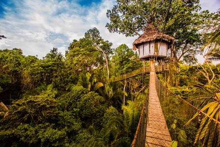 Nhà trên cây ở Peru. Ảnh: Getty.