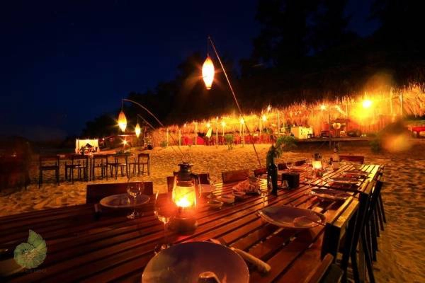 Không gian lãng mạn về đêm ở Coto Eco Lodge Không gian lãng mạn về đêm ở Coto Eco Lodge