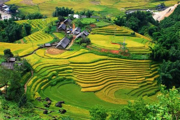 Sapa là một điểm du lịch nổi tiếng nằm ở vùng núi Tây Bắc của Việt Nam. Ảnh: Lifehack vietnam-ivivu-3
