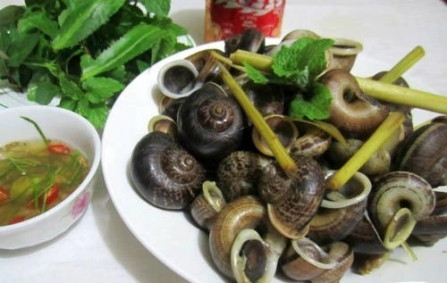 Ốc xu núi Bà món ngon không thể bỏ qua khi đến Tây Ninh. Ốc xu núi Bà món ngon không thể bỏ qua khi đến Tây Ninh.