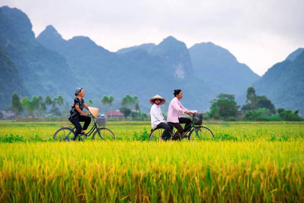 7-net-dang-yeu-khach-nuoc-ngoai-tim-thay-o-viet-nam-ivivu-2
