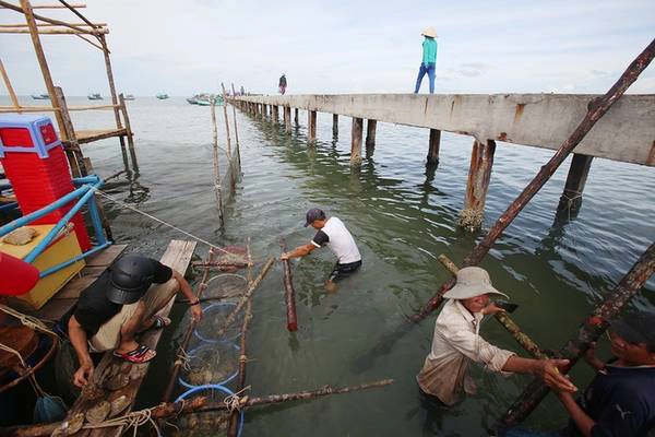 Làng chài Hàm Ninh là điểm đến trong hành trình vòng quanh đảo. Người dân nơi đây sống chất phác, không bon chen. Phần lớn họ bám biển để sống, cuộc sống lặng lẽ không xô bồ. Khách du lịch vẫn tìm đến đây để thưởng thức nhiều loại sản vật của biển. Trong ảnh, một gia đình dựng nhà bè bên cạnh cầu cảng dài 600m để làm du lịch. Làng chài Hàm Ninh là điểm đến trong hành trình vòng quanh đảo. Người dân nơi đây sống chất phác, không bon chen. Phần lớn họ bám biển để sống, cuộc sống lặng lẽ không xô bồ. Khách du lịch vẫn tìm đến đây để thưởng thức nhiều loại sản vật của biển. Trong ảnh, một gia đình dựng nhà bè bên cạnh cầu cảng dài 600m để làm du lịch.