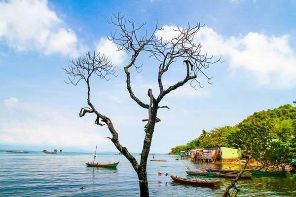 Bạn có thể khám phá đảo theo hai hướng. Một là sáng đi tàu ra, khám phá đảo, chiều lên tàu về đất liền. Hai là, qua đêm trên đảo. Mỗi phương án đều có ưu và khuyết điểm. Tuy nhiên, nếu chọn ở lại, bạn nên chuẩn bị tinh thần cho việc tại đảo không có bất kỳ dịch vụ du lịch và điện chỉ có đến 21h. Ảnh: Hữu Anh. Bạn có thể khám phá đảo theo hai hướng. Một là sáng đi tàu ra, khám phá đảo, chiều lên tàu về đất liền. Hai là, qua đêm trên đảo. Mỗi phương án đều có ưu và khuyết điểm. Tuy nhiên, nếu chọn ở lại, bạn nên chuẩn bị tinh thần cho việc tại đảo không có bất kỳ dịch vụ du lịch và điện chỉ có đến 21h. Ảnh: Hữu Anh.