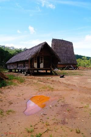 Với vẻ đẹp thơ mộng, huyền bí, đây là một trong những cung đường đèo làm say mê phượt thủ. Ảnh: Mi Hương. Với vẻ đẹp thơ mộng, huyền bí, đây là một trong những cung đường đèo làm say mê phượt thủ. Ảnh: Mi Hương.