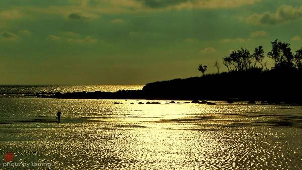  Chiều vàng ở Ngũ Phụng. Ảnh: tamngu