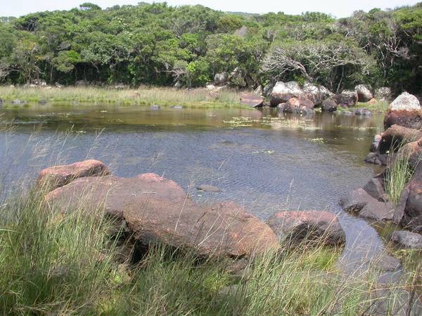 Ảnh: Panoramio