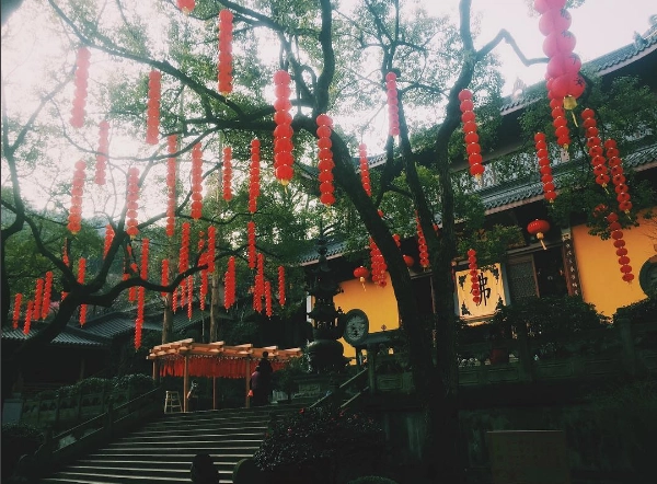 Ảnh: marion_kosh Ảnh: marion_kosh