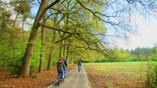 Công viên Park Hoge Veluwe là công viên nổi tiếng nhất Hà Lan, với 40 km đường dành cho xe đạp, đồng thời cung cấp 1.800 xe phục vụ khách tham quan miễn phí. Bạn nên đến đây từ lúc sáng sớm khi vừa mở cửa (8h) để nghe tiếng chim hót và hít thở bầu không khí thật trong lành. Công viên Park Hoge Veluwe là công viên nổi tiếng nhất Hà Lan, với 40 km đường dành cho xe đạp, đồng thời cung cấp 1.800 xe phục vụ khách tham quan miễn phí. Bạn nên đến đây từ lúc sáng sớm khi vừa mở cửa (8h) để nghe tiếng chim hót và hít thở bầu không khí thật trong lành.