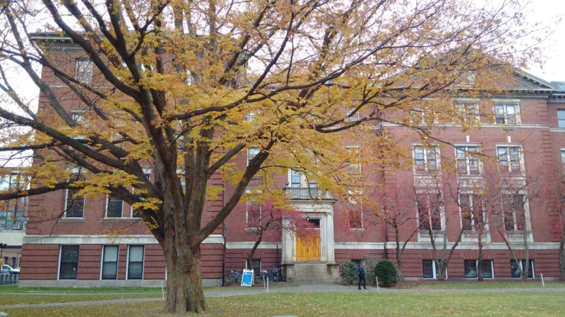 Khuôn viên trường đại học Harvard đẹp như tranh vẽ vào mùa thu lá rơi