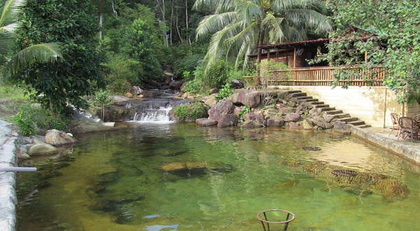 Một góc xanh mát của Freedom Resort. Ảnh: freedom-island-bungalow.com
