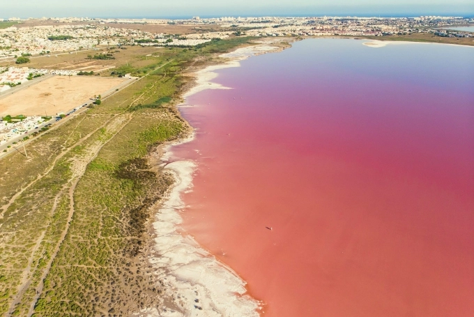 Mỗi năm, Las Salinas de Torrevieja (Tây Ban Nha) luôn hút du khách nhờ sắc hồng tự nhiên của nó. Màu hồng của nước biển xuất phát từ loài sinh vật biển chứa một hóa chất có màu đỏ gọi là beta carotene. Theo thời gian, vùng biển này dần thay đổi màu sắc, đôi khi bãi cát cũng được nhuộm hồng tươi thắm, ấn tượng, tựa như cảnh trong truyện cổ tích.