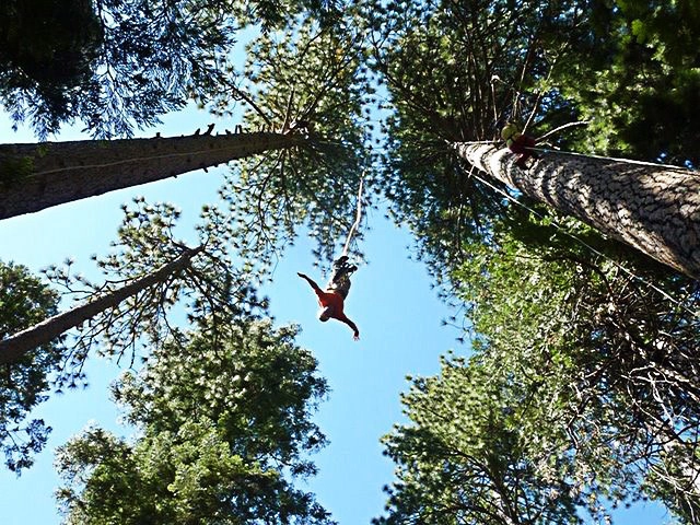Rừng cây Gỗ đỏ Humboldt, California: Một cơ hội nhảy bungee độc đáo khác ở California. Trước tiên bạn sẽ phải leo lên những cây gỗ đỏ khổng lồ và sau đó rơi xuống rừng xanh với khoảng cách 46 m. Không hẳn là quá đáng sợ nhưng nó sẽ là sự kết hợp thú vị giữa việc khám phá thiên nhiên và phiêu lưu mạo hiểm. Rừng cây Gỗ đỏ Humboldt, California: Một cơ hội nhảy bungee độc đáo khác ở California. Trước tiên bạn sẽ phải leo lên những cây gỗ đỏ khổng lồ và sau đó rơi xuống rừng xanh với khoảng cách 46 m. Không hẳn là quá đáng sợ nhưng nó sẽ là sự kết hợp thú vị giữa việc khám phá thiên nhiên và phiêu lưu mạo hiểm.