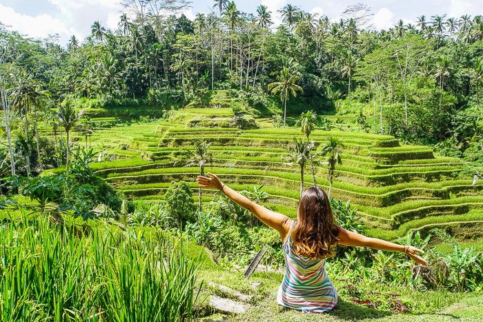 Đến đây, bạn cũng có thể tản bộ qua các khu ruộng bậc thang nổi tiếng, tham quan Rừng Khỉ, hoặc đi bè trên dòng sông Ayung tuyệt đẹp. Ảnh: Findingbeyond.com.