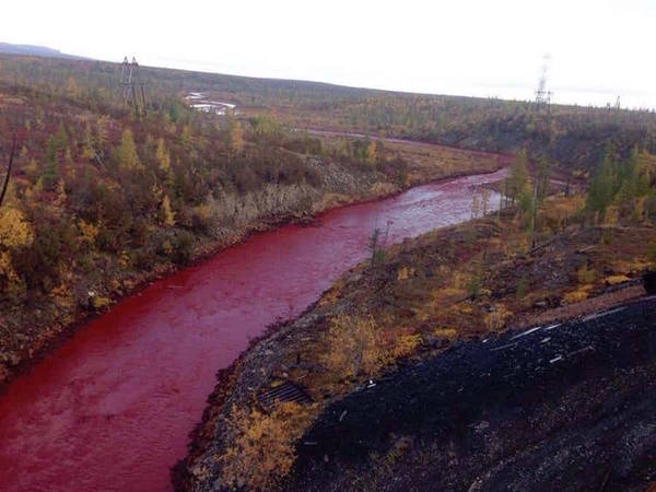 Siberia có tới 4 con sông nằm trong top 10 sông dài nhất thế giới, lần lượt là Ob, Amur, Lena và Yenisei. Thế nhưng được nhắc tới nhiều hơn cả lại là sông Dalkdykan nhờ màu sắc đỏ như máu. Theo National Geographic, màu đỏ này có khả năng xuất phát từ một lượng lớn sắt tự nhiên trong lòng đất hoặc khởi nguồn từ sự rò rỉ hoá học. Dù nguyên nhân là gì, Dalkdykan vẫn là dòng sông đặc biệt không lẫn với bất kỳ nơi nào khác. Siberia có tới 4 con sông nằm trong top 10 sông dài nhất thế giới, lần lượt là Ob, Amur, Lena và Yenisei. Thế nhưng được nhắc tới nhiều hơn cả lại là sông Dalkdykan nhờ màu sắc đỏ như máu. Theo National Geographic, màu đỏ này có khả năng xuất phát từ một lượng lớn sắt tự nhiên trong lòng đất hoặc khởi nguồn từ sự rò rỉ hoá học. Dù nguyên nhân là gì, Dalkdykan vẫn là dòng sông đặc biệt không lẫn với bất kỳ nơi nào khác.