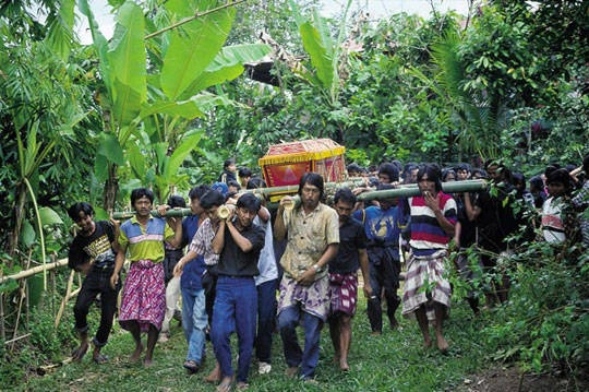 Du lịch Indonesia - tour du lịch đám ma - đảo Sulawesi - iVIVU.com