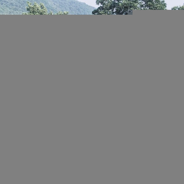 8-homestay-tuyet-dep-ngay-gan-ha-noi-va-sai-gon-de-ban-di-nghi-nhanh-ngay-le-cuoi-nam-ivivu-9