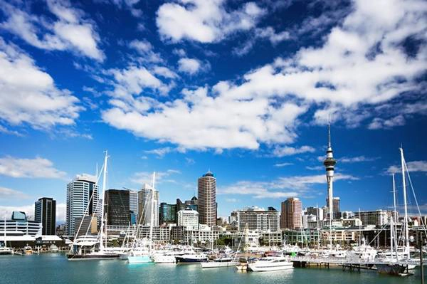 8-ly-do-ban-nen-den-new-zealand-ngay-mua-he-nay-ivivu-3
