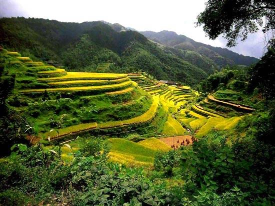  Baguio - Philippines 