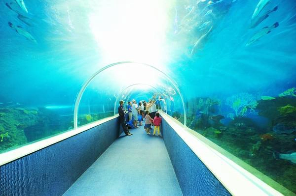 vinpearl-phu-quoc-ivivu-1