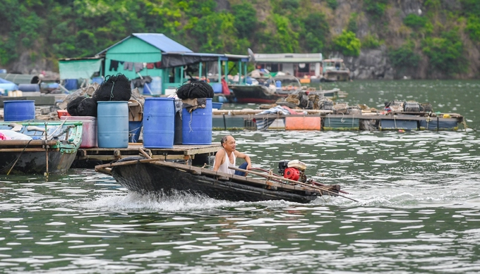 Ghé làng chài Vạn Bội  Nằm nép mình giữa những hòn đảo nhỏ là làng chài nổi Vạn Bội, nơi người dân sống bằng nghề nuôi và đánh bắt hải sản. Nếu khởi hành từ đảo Cát Bà, du khách mất khoảng 2 giờ để tới đây. Thời gian di chuyển từ đảo Tuần Châu (Quảng Ninh) sang khoảng 30 phút, phương án này dành cho du khách sau khi tham quan ở Hạ Long.