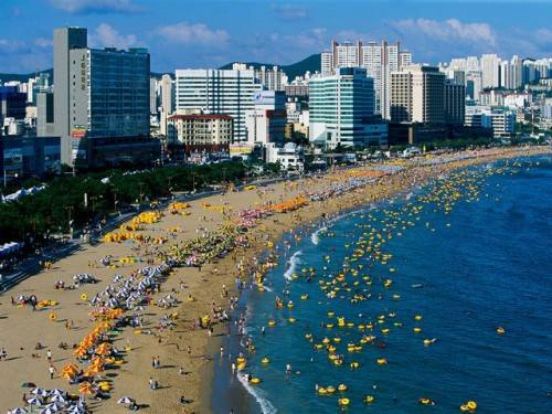 <strong>Hóng gió trên bãi biển Haeundae: </strong> Busan có 6 bãi biển rất dễ tiếp cận, trong đó Haeundae nổi tiếng đông đúc với nhiều khách sạn hạng sang, casino, thủy cung... Người dân Hàn Quốc thường đổ về đây vào mùa hè và tự tìm cho mình một chỗ trống trên bãi biển để tận hưởng không gian mát lạnh. Đây cũng là nơi tổ chức nhiều hoạt động văn hóa và lễ hội hấp dẫn ở Hàn Quốc. <strong>Hóng gió trên bãi biển Haeundae: </strong> Busan có 6 bãi biển rất dễ tiếp cận, trong đó Haeundae nổi tiếng đông đúc với nhiều khách sạn hạng sang, casino, thủy cung... Người dân Hàn Quốc thường đổ về đây vào mùa hè và tự tìm cho mình một chỗ trống trên bãi biển để tận hưởng không gian mát lạnh. Đây cũng là nơi tổ chức nhiều hoạt động văn hóa và lễ hội hấp dẫn ở Hàn Quốc.