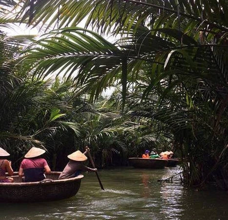 Thăm rừng dừa Bảy Mẫu: Nằm cách trung tâm khoảng 3 km, rừng dừa Bảy Mẫu đưa đến cho du khách cảm nhận như đang tham quan ở miền sông nước Nam Bộ. Rừng dừa nằm cạnh 3 con sông là Hoài, Thu Bồn, Đến Võng. Khi tới đây, bạn sẽ được ngồi trên thuyền thúng và đi vào khám phá bên trong. Lúc ngồi trên thuyền thúng, du khách sẽ được hướng dẫn làm nhẫn, vòng đội đầu từ lá dừa nước... Với những ai lần đầu đi thuyền thúng, có thể tự trải nghiệm cảm giác chèo loại thuyền độc đáo này. Ảnh: Sashna