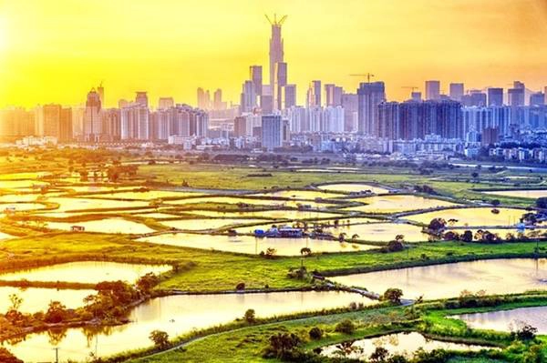 Hoo Hok Wai: Nếu bạn muốn có những bức ảnh tuyệt đẹp về vùng quê yên bình, hãy đến với Hoo Hok Wai. Nằm tại khu vực hẻo lánh của Hong Kong, vùng nông thôn này thu hút du khách nhờ cảnh quan thiên nhiên tuyệt hảo, những ngôi làng bên hồ, và đặc biệt nhất là cảnh hoàng hôn. Để đến được đây, bạn hãy đi tuyến xe bus số 51K từ Sheung Shui. Hoo Hok Wai: Nếu bạn muốn có những bức ảnh tuyệt đẹp về vùng quê yên bình, hãy đến với Hoo Hok Wai. Nằm tại khu vực hẻo lánh của Hong Kong, vùng nông thôn này thu hút du khách nhờ cảnh quan thiên nhiên tuyệt hảo, những ngôi làng bên hồ, và đặc biệt nhất là cảnh hoàng hôn. Để đến được đây, bạn hãy đi tuyến xe bus số 51K từ Sheung Shui.