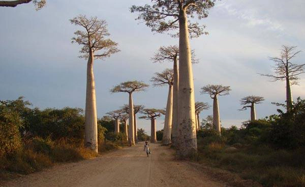 Madagascar