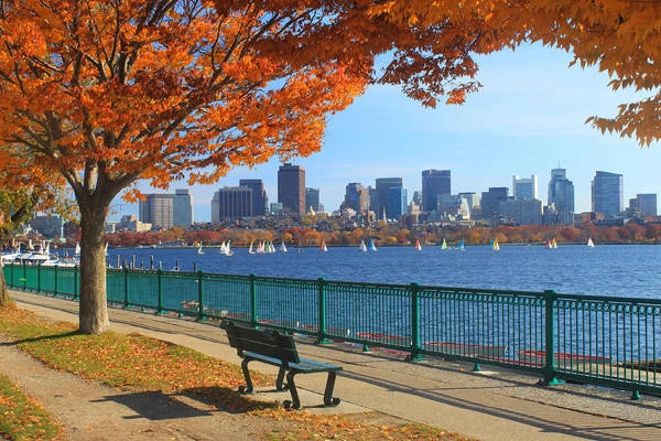 Boston ngập trong sắc vàng những ngày thu