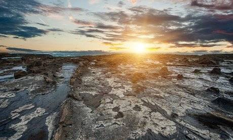 Địa điểm: Cực Bắc đảo Nam - New Zealand. Địa điểm: Cực Bắc đảo Nam - New Zealand.