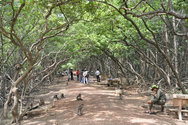 Du khách tham quan đảo Khỉ. Ảnh: mattroiviettravel Du khách tham quan đảo Khỉ. Ảnh: mattroiviettravel