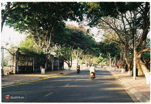 Con đường dẫn vào thị trấn. Ảnh: Kenh14 Con đường dẫn vào thị trấn. Ảnh: Kenh14