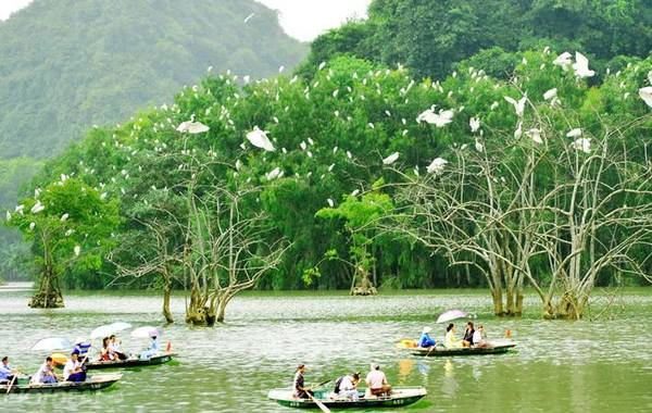 Vườn chim Thung Nham: Vườn Chim Thung Nham nằm ở xã Ninh Hải, huyện Hoa Lư, là một trong những điểm du lịch hội tụ đầy đủ các yếu tố văn hóa, tâm linh, cảnh quan và đa dạng sinh học. Bên cạnh cảm giác thú vị khi ngồi trên thuyền, chiêm ngưỡng khu đầm, du khách còn được khám phá cuộc sống hoang dã của gần 40 loài chim với khoảng 50 ngàn con. Ảnh: 123phuot.com