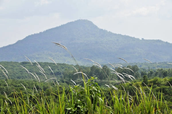 Núi Bà Rá (Bình Phước): Đỉnh Bà Rá cao 723m thuộc thị xã Phước Long, Bình Phước. Bà Rá có không gian thanh bình, lãng mạn, thiên nhiên hùng vĩ. Từ thị xã Đồng Xoài đi theo tỉnh lộ 741, qua trung tâm thị xã Phước Long đến nhà ga cáp treo núi Bà Rá, qua đó 500m là con đường lên núi. Có thể di chuyển bằng xe máy lên độ cao khoảng 150m đến đồi Bằng Lăng. Phía bên phải đồi Bằng Lăng là những bậc thang xếp bằng đá tạo thành con đường chính lên núi. Hai bên là những hàng tre đan nhau che mát cả lối đi. Lên đỉnh núi, thỏa sức ngắm nhìn toàn cảnh hồ thủy điện Thác Mơ và cảnh sắc thơ mộng khu vực này. Ảnh: dukhach.binhphuoc.gov.vn Núi Bà Rá (Bình Phước): Đỉnh Bà Rá cao 723m thuộc thị xã Phước Long, Bình Phước. Bà Rá có không gian thanh bình, lãng mạn, thiên nhiên hùng vĩ. Từ thị xã Đồng Xoài đi theo tỉnh lộ 741, qua trung tâm thị xã Phước Long đến nhà ga cáp treo núi Bà Rá, qua đó 500m là con đường lên núi. Có thể di chuyển bằng xe máy lên độ cao khoảng 150m đến đồi Bằng Lăng. Phía bên phải đồi Bằng Lăng là những bậc thang xếp bằng đá tạo thành con đường chính lên núi. Hai bên là những hàng tre đan nhau che mát cả lối đi. Lên đỉnh núi, thỏa sức ngắm nhìn toàn cảnh hồ thủy điện Thác Mơ và cảnh sắc thơ mộng khu vực này. Ảnh: dukhach.binhphuoc.gov.vn