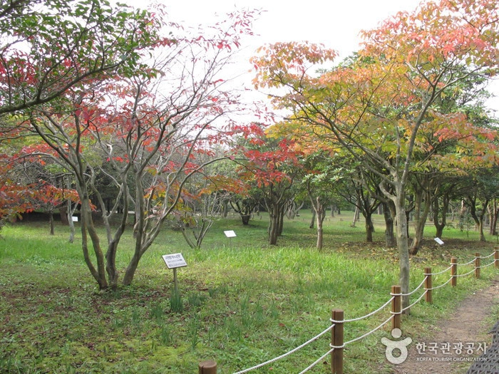 Ảnh: Korea Tourism Organization