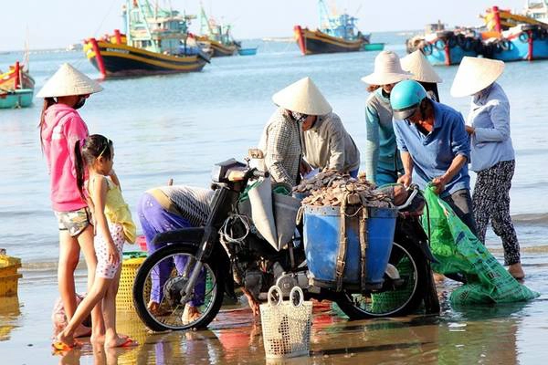 Thu mua hải sản ngay tại chỗ. Ảnh: Zen Nguyễn Thu mua hải sản ngay tại chỗ. Ảnh: Zen Nguyễn