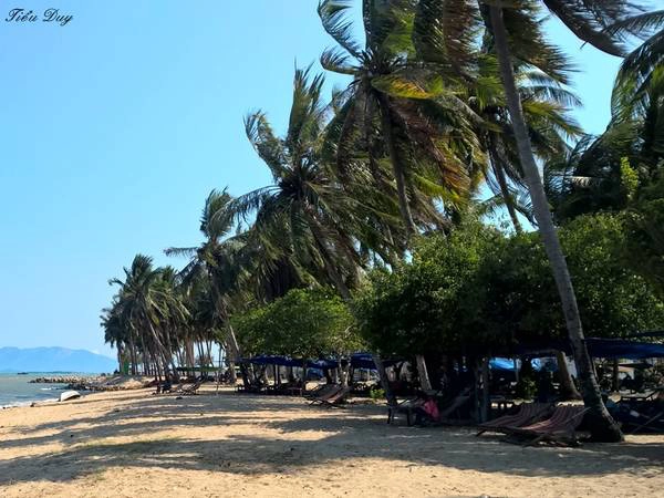Thưởng thức gió biển lồng lộng ở làng chài Vạn Giã. Ảnh: Tiểu Duy Thưởng thức gió biển lồng lộng ở làng chài Vạn Giã. Ảnh: Tiểu Duy